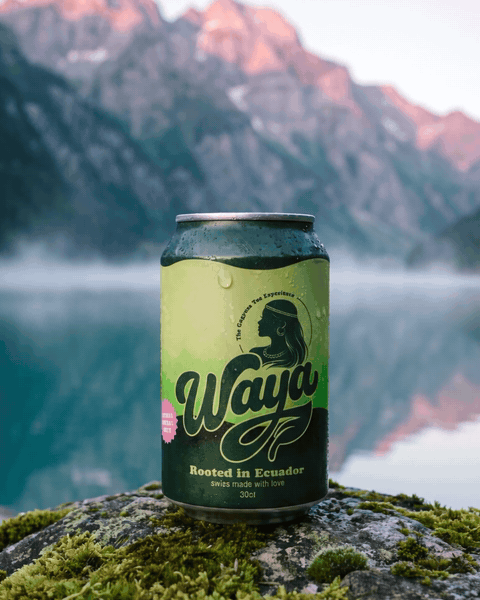 WAYA Klöntalersee – GIF