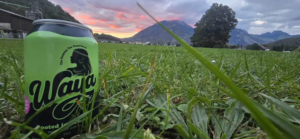 WAYA Dose im Gras einer Wiese im Glarnerland, dahinter Berge und rosa Abendhimmel